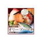 旬の鮮魚等 オリーブハマチ1本まるごと