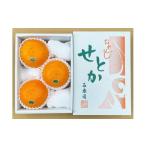 果物類 みかん ハーフ 化粧箱 柑橘の大トロ