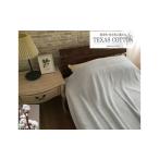 タオル 寝具 タオルケット TEXSAS COTTON