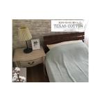 タオル 寝具 タオルケット TEXSAS COTTON
