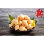 ふるさと納税 魚貝類 ホタテ 北海道 紋別市 30-123 オホーツク産ほたて貝柱特大サイズ1kg