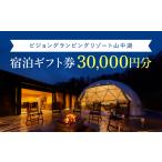 ふるさと納税 ペットと泊まる宿 山梨県 山中湖村 ビジョングランピングリゾート山中湖 30,000円分宿泊ギフト券 YAG002
