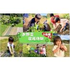 fu.... налог body . билет три слоя префектура Iga city сельское хозяйство .. .... овощи .. body . талон 5 имя до hnut0001