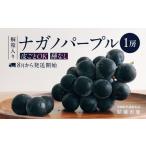 ぶどう 3品種 食べ比べ 各1房ずつ 共通返礼品