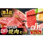 極上厳選 受賞歴多数 しまね和牛 焼肉セット
