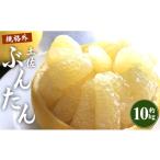 ふるさと納税 みかん・柑橘類 高知県 香南市 文旦 高知 10kg 高知県 家庭用 10kg家庭用 2L〜4Lサイズ (規格外) 高知 先行予約 期間限定 間城農園 文旦 - ぶん…