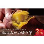 野菜類 サツマイモ Ms.YAKIIMO