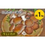 fu.... налог овощи вид .. . Okayama префектура Seto внутри город 2026 предшествующий предварительный заказ сырой .... примерно 1kg. пол культивирование природа сельское хозяйство закон овощи .. .. тест . толщина мясо толщина мясо толщина .... еда чувство природа . близкий...