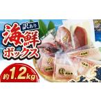旬の鮮魚等 訳あり ボックス 1.2kg