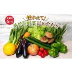 セット 詰合せ とれたて 野菜 パック 定期便