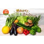 セット 詰合せ とれたて 野菜 パック 定期便