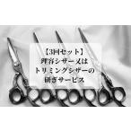 イベントやチケット等 グリーンマウスの3回セット
