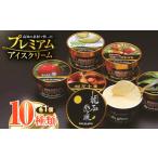 菓子 アイス プレミアムアイスクリーム 10個入り