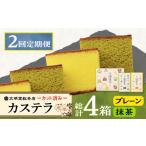 菓子 カステラ 2回定期便 カット包装カステラ 2箱入