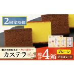 菓子 カステラ 2回定期便 カット包装カステラ 2箱入
