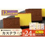 菓子 カステラ 12回定期便 カット包装カステラ 2箱入