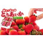 ふるさと納税 いちご 栃木県 佐野市 『葛生農場』新鮮 栃木の新品種 『とちあいか』(260g×4パック)_ いちご 苺 フルーツ 果物 くだもの とちあいか 栃木 新…