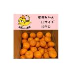 ふるさと納税 果物類 みかん 和歌山県 有田川町 12/23までにご入金確認分は年内発送確定 きれいな温州みかん 寄贈用にお勧め LLサイズ 箱込み10kg
