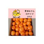 ふるさと納税 果物類 みかん 和歌山県 有田川町 12／25までにご入金確認分は年内発送確定 きれいな温州みかん 箱込み 5kg（SSサイズ指定）小さなミカンが好き…