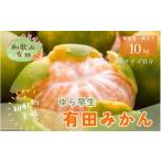 ふるさと納税 果物類 みかん 和歌山県 新宮市 初秋の美味 10月〜発送 有田育ちのご家庭用訳ありゆら早生有田みかん 10kg サイズ混合 ard053B
