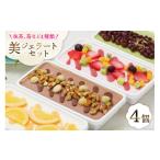 ふるさと納税 アイス・ヨーグルト ジェラート 石川県 津幡町 アイス 美・ジェラートギフトセット 500ml×4個 アーリオ・オーリオ 石川県 津幡町 28ae0002 アイ…