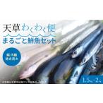 魚貝類 S059-017_ 鱗 内臓 除去済み
