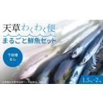 旬の鮮魚等 S059-019_ 下処理なし
