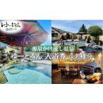 fu.... налог горячие источники * sauna *spa использование талон Nagano префектура Fujimi блок купальный талон 4 имя минут 