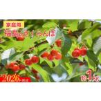 ふるさと納税 果物類 さくらんぼ 福島県 福島市 No.2575 ご家庭用 さくらんぼ 品種お任せ 約1kg（バラ詰、小粒） 2026年発送　先行予約