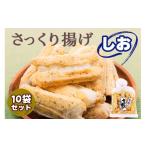 煎餅 おかき 工場直送 さっくり揚げ しお 10袋入