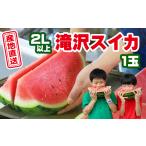 ふるさと納税 岩手県 滝沢市 早期予約！！滝沢スイカ 1玉 ２L以上＜令和６年８月頃発送＞【滝沢産業開発株式会社】