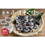 しじみ あさり 蛤 はまぐり 小はまぐり ゼンナ 1.2kg