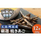 魚貝類 五島列島産 厳選 焼きあご 100g×12袋
