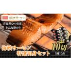 ふるさと納税 魚貝類 サーモン 青森県 むつ市 海峡サーモン 特選切身セット10切 (5種10点)