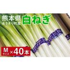 fu.... налог овощи вид лук порей Kumamoto префектура .... блок Kumamoto префектура .... блок производство белый лук порей [ лампочка . прекрасный человек ]M размер ×40шт.@ доставка время :2025 год 11 месяц последняя декада .. последовательный отправка белый .| белый ne...