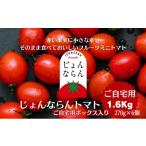 野菜類 トマト ミニトマト フルーツトマト