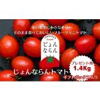 野菜類 トマト ミニトマト フルーツトマト