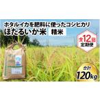 米 コシヒカリ 訳あり ほたるいか米 精米10kg