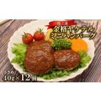 肉 ハンバーグ 時短 お弁当に 金格ヤケテル