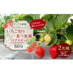 ショッピングふるさと納税 いちご ふるさと納税 いちご 福岡県 久山町 いちご狩り 食べ放題ペアチケット60分(大人1名+3歳以上小学生未満1名) イチゴ狩り 福岡県 やすこうち農園 久山町 体験チケ…