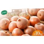ふるさと納税 野菜類 玉ねぎ 群馬県 富岡市 抗酸化玉ねぎ 10kg 桑の粉茶10g付き 抗酸化 玉ねぎ たまねぎ 桑の粉茶 食品 F21E-410