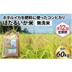 米 コシヒカリ 訳あり ほたるいか米 無洗米5kg