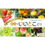 ぶどう 坂出のいいとこどり定期便 7月 8月