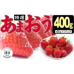 ふるさと納税 いちご 福岡県 朝倉市  朝倉市制施行20周年記念企画 いちご 2026年2月下旬より発送 特選あまおう 400g 配送不可：離島