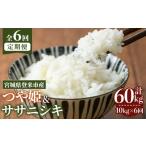 ふるさと納税 米 ササ