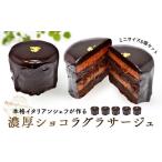 ケーキ カステラ チョコレートケーキ ショコラグラサージュ