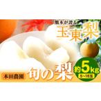 ふるさと納税 梨 熊本県 玉東町 日付指定不可 『本田農園』旬の梨 約5kg 5~16玉 本田農園《8月下旬-10月上旬頃出荷》 熊本県玉名郡玉東町 梨 なし 果物 旬