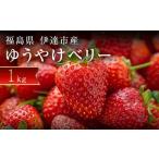 ふるさと納税 いちご 福島県 伊達市 2026年発送 限定 新品種のいちご 福島県 オリジナル品種「ゆうやけベリー」約1kg(250g×4パック)イチゴ 苺 フルーツ 果…