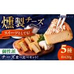 加工品等 チーズ 燻製チーズ 5種セット 個性派