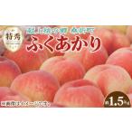 ふるさと納税 もも 福